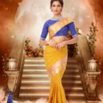 Silk Saree 2